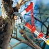 Tree Pruner Manual